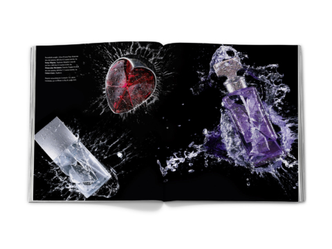 sdh_book_base 2_0044