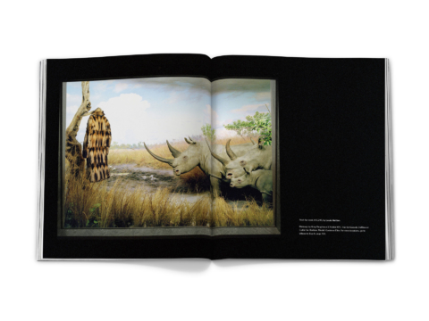 sdh_book_base 2_0115