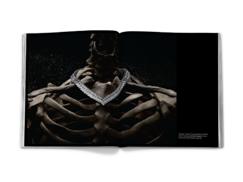 sdh_book_base_0238