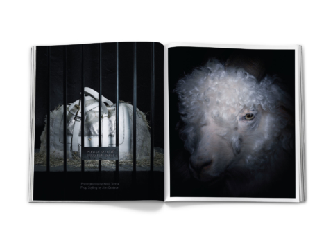 sdh_book_base_0376