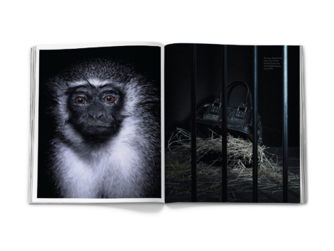 sdh_book_base_0377