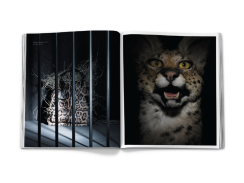 sdh_book_base_0378