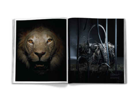 sdh_book_base_0379