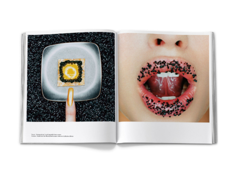 sdh_book_base_vol_3_0060