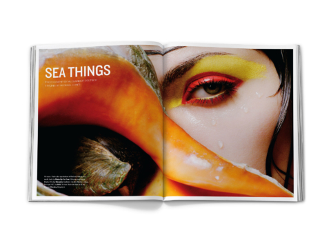 sdh_book_base_vol_3_0127
