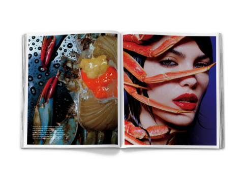 sdh_book_base_vol_3_0128