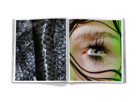 sdh_book_base_vol_3_0129