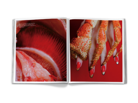 sdh_book_base_vol_3_0130