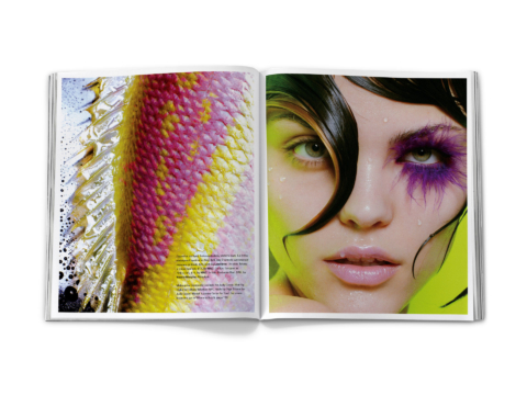 sdh_book_base_vol_3_0131