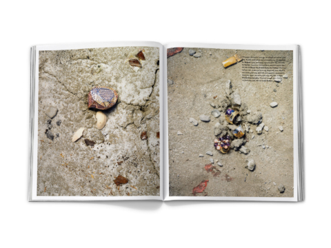 sdh_book_base 2_0229