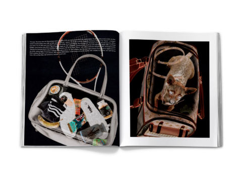 sdh_book_base_0184