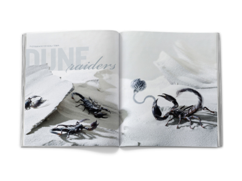 sdh_book_base_0389