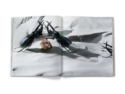 sdh_book_base_0391