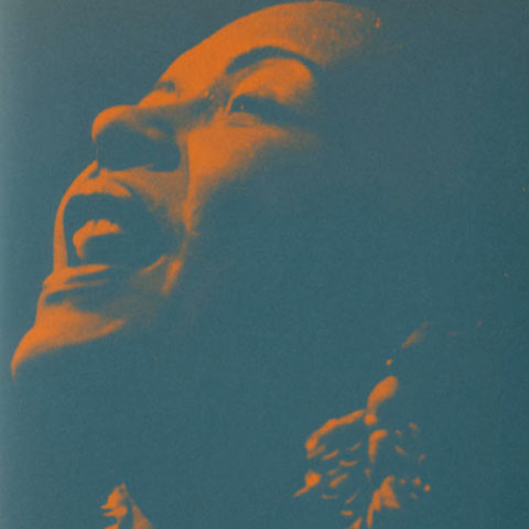 If You Can’t Be Free, Be A Mystery: In Search of Billie Holiday.
