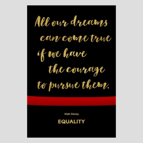 PLANETFAB EQUALITY CHARTER SCHOOL POSTER INSPIRATIONAL 8