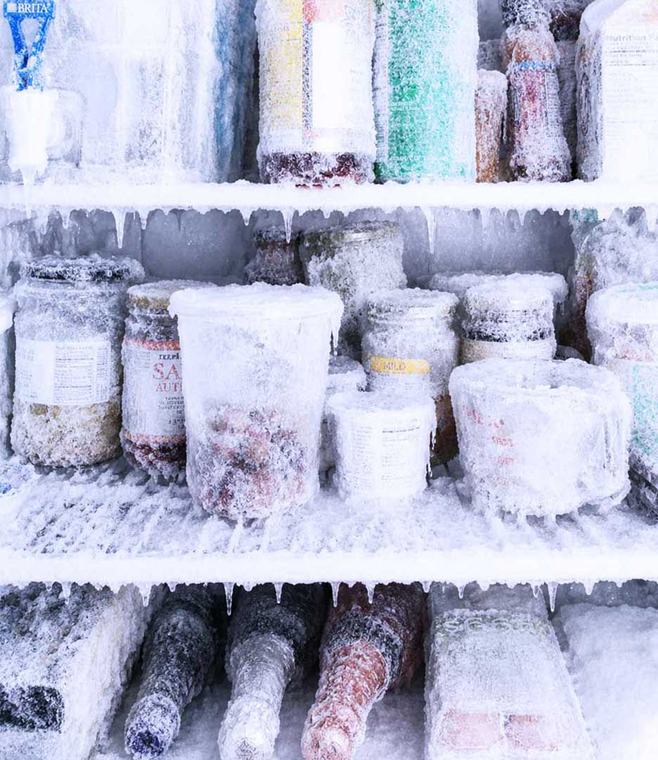 Refrigerator shelves with food containers and bottles completely encased in ice and frost, illustrating a severe refrigerator malfunction. Bernard AI appliance repair platform by PlanetFab.