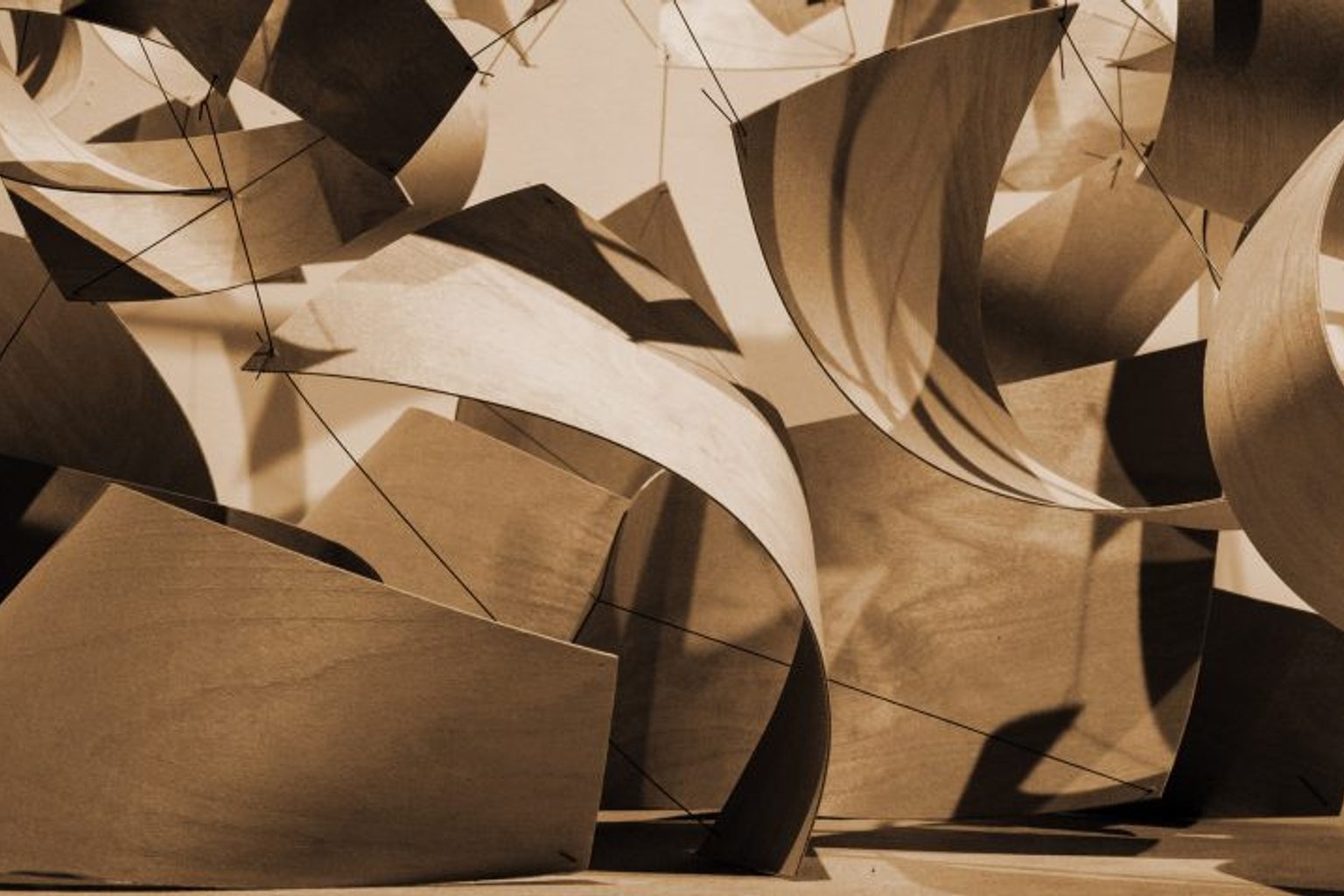 Curved wood ribbons and geometric shapes casting shadows in sepia tones, showing material under stress