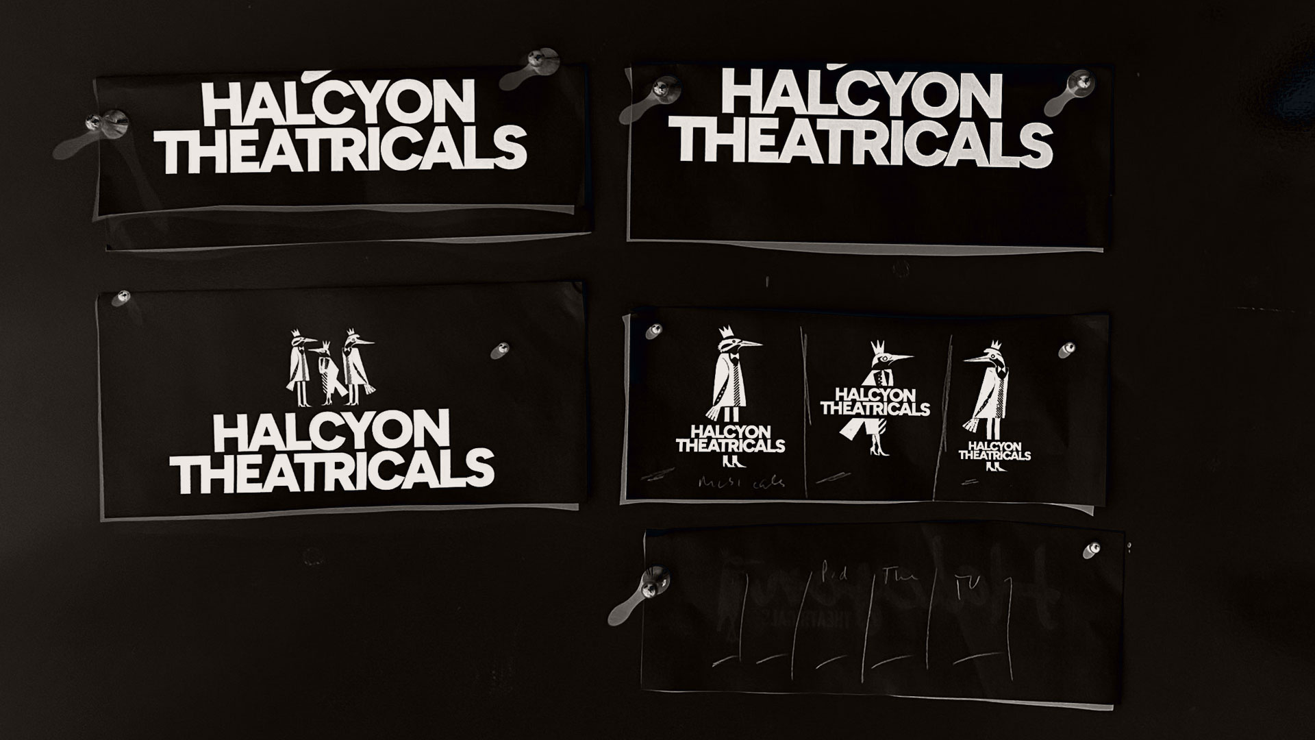 Halcyon Theatricals logo development showing wordmark studies and early three-bird emblem concepts pinned to a wall.